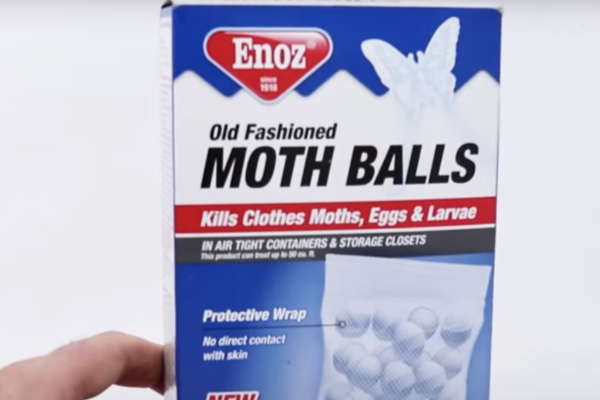 Mothball-Bat-Prevention