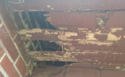 Raccoon-House-Damage-1