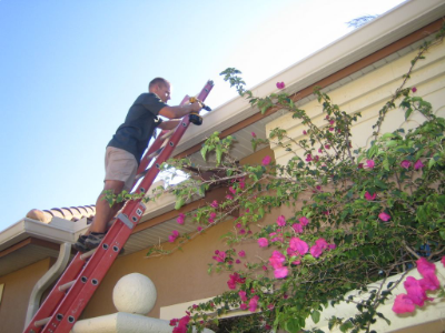 Raccoon-Roof-Repair-Repel