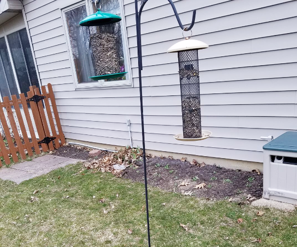 Bird-Feeder-Away-From-Home