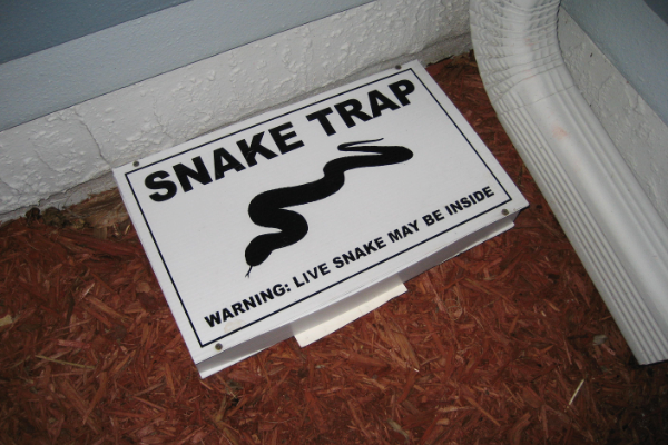 Snake-Trap