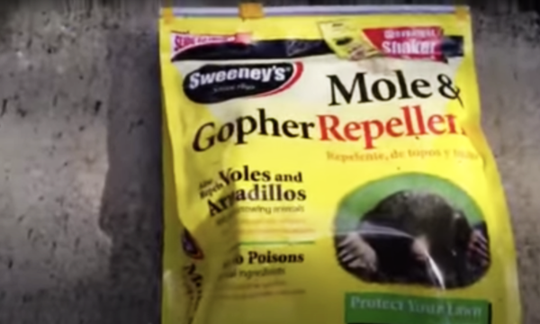 Sweenys-Gopher-Repellent